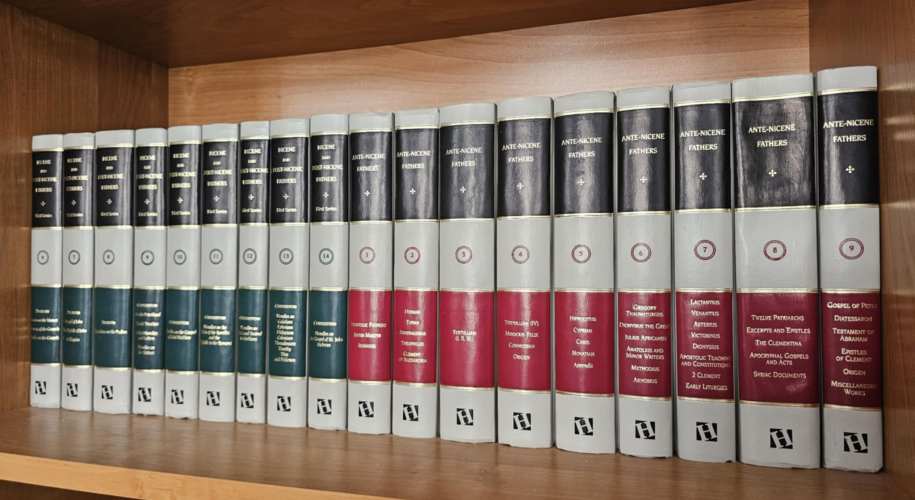 Protestantsko teološko učilište "Mihael Starin", Osijek - programi