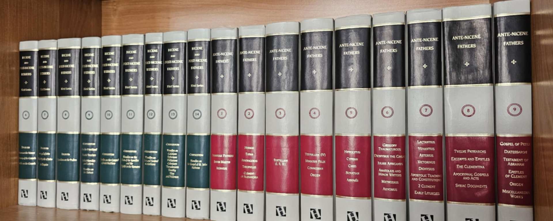 Protestantsko teološko učilište "Mihael Starin", Osijek - programi